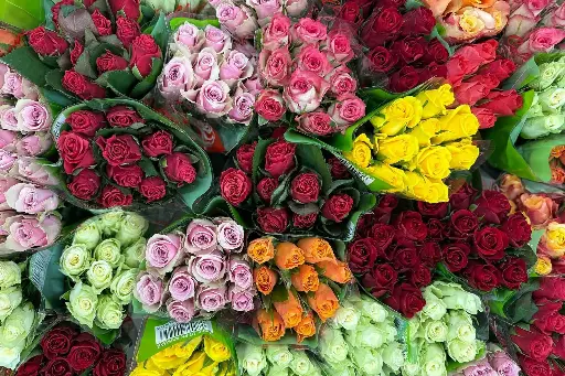20 stilker roser i sesongens farger